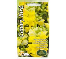 Sēklas Kurzemes sēklas lauvmutītes Canary Bird, 0.2 g