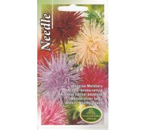Sēklas Kurzemes sēklas asteres Needle, 0.5 g