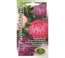 Sēklas Kurzemes sēklas asteres Paeoniflowered, 0.5 g