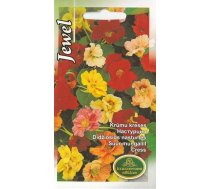 Sēklas asteres Jewel Seeds, 6 g