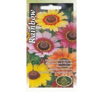 Sēklas hrizantēmas-viengadīgās Summer Rainbow, 1 g
