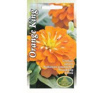 Sēklas cīnijas Zinnia Orange King, 4 g