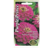 Sēklas cīnijas Zinnia Purple Prince, 4 g