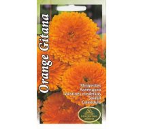 Sēklas klinģerītes Gitana Orange, 5 g