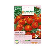 Sēklas Garden Center samtenes Brocade, 0.4 g