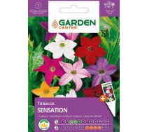 Sēklas Garden Center tabakas Sensation, 0.1 g