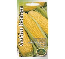 Sēklas Kurzemes sēklas, kukurūza Corn Golden Bantam, 5 g