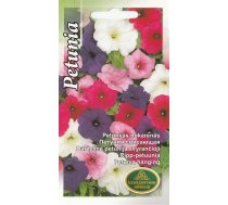 Sēklas Kurzemes sēklas petūnijas Mix Seeds, 3 g