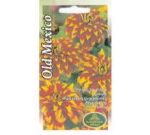 Sēklas cīnijas Zinnia Old Mexico, 4 g
