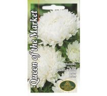 Sēklas asteres Queen Of The Market, 0.5 g