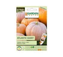 Sēklas Garden Center, ķirbis Atlantic Giant, 2 g