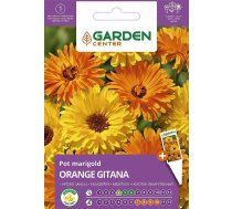 Sēklas Garden Center klinģerītes Orange Gitana, 2 g