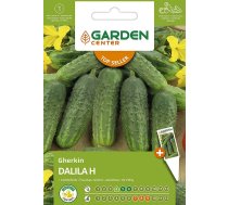 Sēklas Garden Center, gurķi Dalila H, 1 g