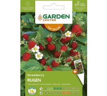 Sēklas Garden Center, meža zemenes Rugen, 0.1 g