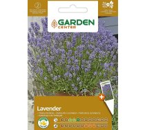 Sēklas Garden Center lavandas, 0.4 g