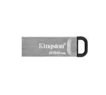 Memory drive flash usb3.2-256gb dtkn-256gb kingston