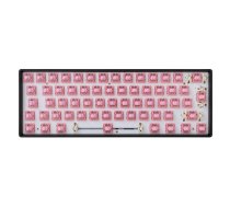 White Shark Roserift Mechanical Switches 65 pcs.