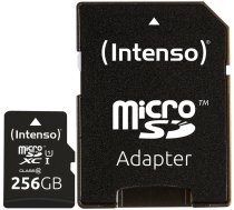 Atmiņas karte Intenso, 256 GB