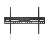 TV turētājs Standart, 43-100", 75 kg