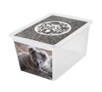 Uzglabāšanas kaste 30L X box deco koala