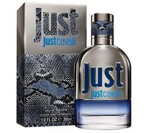Roberto Cavalli Just Cavalli Him 2013 Smaržas EDT 30 ml