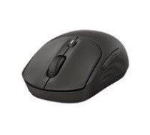 HP 405 Quiet BLK Wireless Mouse (EN)