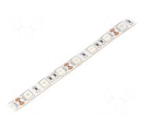LED tape | blue | 5050 | 12V | LED/m: 60 | 10mm | IP20 | 14.4W/m