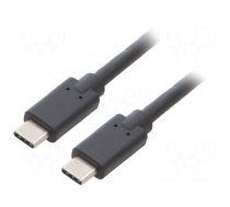 Cable | USB 3.1 | USB C plug,both sides | 2m | black