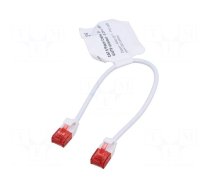 Patch cord | U/UTP | Cat 6 | RJ45 plug,both sides | stranded | Cu | PVC