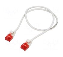 Patch cord | U/UTP | Cat 6 | RJ45 plug,both sides | stranded | Cu | 0.5m
