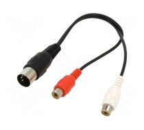 Cable | DIN 5pin plug,RCA socket x2 | 0.2m