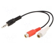 Cable | Jack 3.5mm 3pin plug,RCA socket x2 | 0.2m | black | PVC