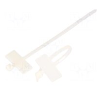 Cable tie | L: 100mm | W: 2.5mm | natural | 100pcs | Label dim: 25x8mm