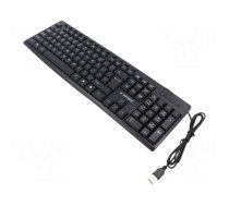 Keyboard | black | USB A | wired,US layout | 1.2m