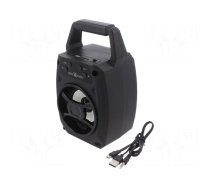 Speaker | black | Jack 3,5mm,microSD,USB A,USB B micro | 10m | 4h