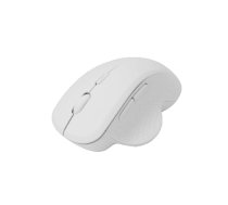 Sbox WM-549 white