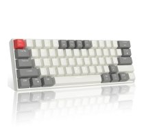 Magegee STAR61 Grey White, Blue Lighting, Red Switch, US