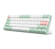 Magegee STAR61 Pink Lotus A, RGB, Ginger Cat Switch, US