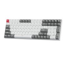 ROYAL KLUDGE RK100 White-Grey, Red Switch, US