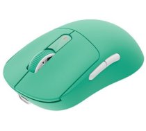Bezvadu pele Fury Tanto T4 Mint Green