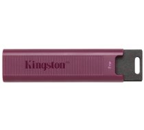 Zibatmiņa Kingston DataTraveler MAX 1TB