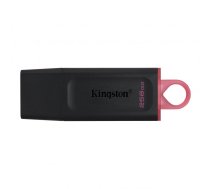 Kingston DataTraveler Exodia 256GB