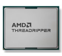AMD Ryzen Threadripper 9960X processor 4.2 GHz 128 MB L3 Tray