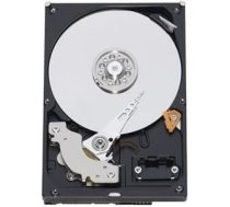 Western Digital HDD|WESTERN DIGITAL|Blue|1TB|SATA 3.0|64 MB|7200 rpm|3,5"|WD10EZEX