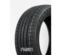 FIREMAX FM601 255/30R19 91W | FM601 255/30R19 91W | FMX00098