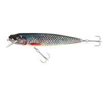 HOLO SELECT TIROLL LURES 22,0cm F P | 1768221  | 5900113222311 | VJ-TR22FP