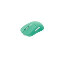 Bezvadu pele Fury Tanto T4 Mint Green | NFU-2205 | 5901969444971