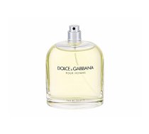 Tester Dolce&Gabbana Pour Homme tualetes ūdens 125ml 691098