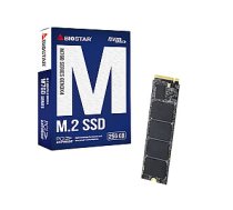 SSD disks Biostar M760 256GB 699221