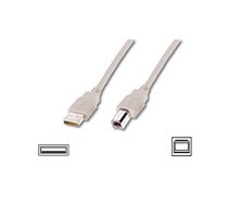Logilink USB 2.0 connection cable USB  A male, USB B male, 5 m, Grey 194920